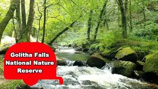 Golitha Falls National Nature Reserve