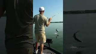 Jigging Raps catch everything!