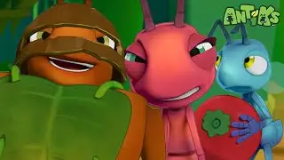 Bridge Guard Challenge ⚔🤺 | ANTIKS | Funny Cartoons For All The Family!