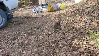 Арму  Благодарность рыбакам