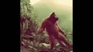 MONKE DANCE MEME 