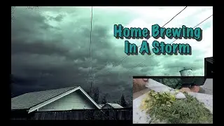Brewing Up A Spruce Ale, Until The Storm Came...