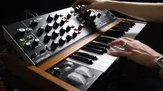 Behringer Poly D - Sound TEST - NO TALKING (Part 3/3)