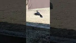 процесс стройки!!!