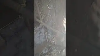 cara pasang pondasi batu belah cepat rapi dan kuwat