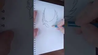 Ласточка 