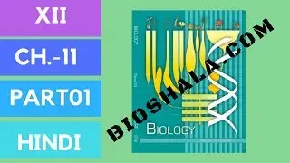 Chapter 11 biotechnology:principle and process part1 (HINDI/NCERT level)