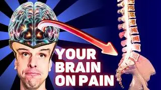 The Real ROOT CAUSE of Chronic Back Pain (pt.6) - Is Chronic Pain In The Brain?