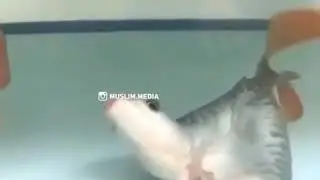 7 декабря 2020 г.