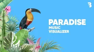 Boomba - Paradise | Music Visualizer
