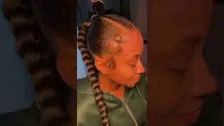 Sleek Braided Pony on Natural Hair #braid #naturalhair #hairstyle