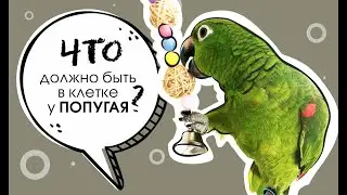 Клетка для попугая