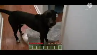 Epic maincarft story