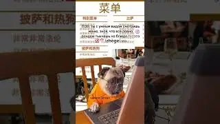 Как заказывать еду в Китае? Мем