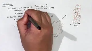 Fluoroquinolones