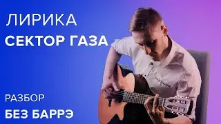 Gaza Strip - Lyrics Without Barre | Guitar Chords and Analysis