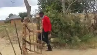 Remote control gate