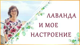 Зачем Нужно Использовать Эфирное Масло Лаванды? Свойства и Использование Масла Лаванды