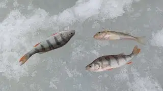 Сулаймон Дар Лаби Бахр