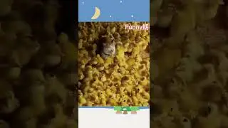 #funny