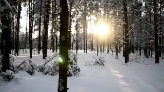 Тест самодельного стедика