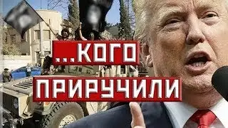 Paul Joseph Watson Американские вертолеты эвакуируют умеренных друзей