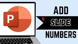 How to Add Page Slide Numbers in PowerPoint