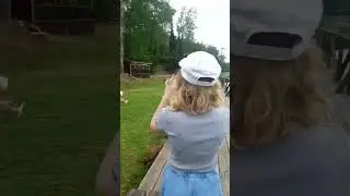 Птичий двор
