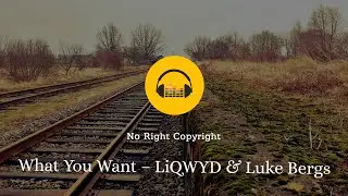 What You Want – LiQWYD & Luke Bergs (No Copyright Music)
