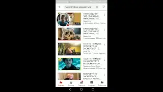 Стрим! РЕАКЦИЯ НА ПРИКОЛЫ ЮТУБ, ВЕСЕЛИМСЯ, ОБЩАЕМСЯ С ПОДПИСЧИКИКАМИ!!!