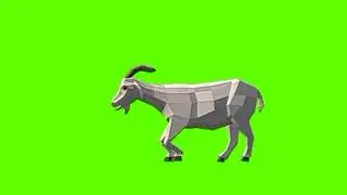 Green screen Goat video | White Goat attack green screen