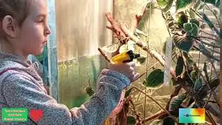 Как живет и развивается Трогательный зоопарк «Живая планета»