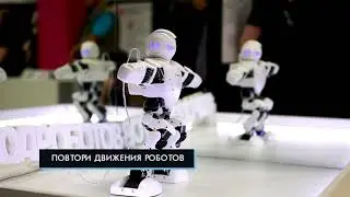 Город Роботов в Великом Новгороде