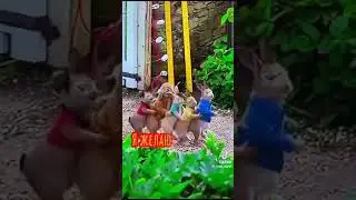 счастья, мира и добра ❤️💓😀😃😄