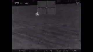 Матёрый волк