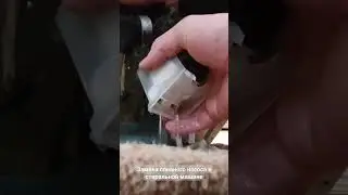 Как поменять сливной насос в стиральной машине. How to change the drain pump in a washing machine.