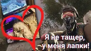 🐾 Надя в Will To Live Online (Я не тащер, у меня лапки!) 13.03.2025