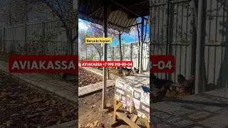 #tiktok #automobile #avto #youtube #топ #avtomobil #aviation AVIAKASSA +7 995 313-83-04