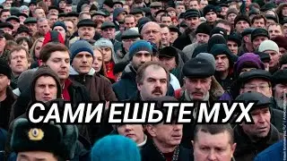 Россиян хотят кормить мухами