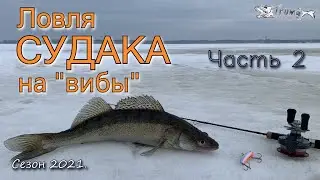 Ловля судака на вибы. Часть 2