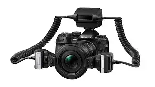 Das Ultimative - das neue OM-System 90mm-Makro-Objektiv