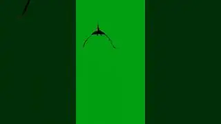 dinosaur green screen video | #shorts