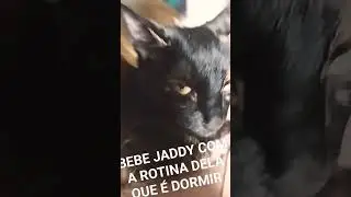 ROTINA DA BEBE JADDY💜