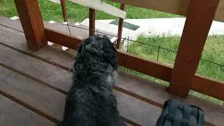 Сочи. Горное Лоо. Утро. +22°C. 7.06.2023г.©