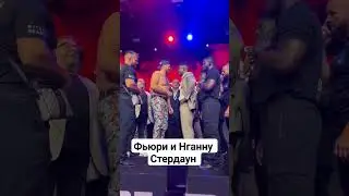 Тайсон Фьюри и Френсис Нганну стердаун
