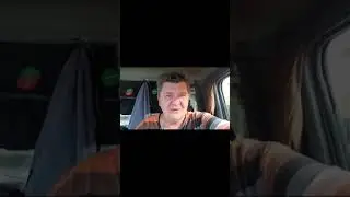 Укус Пчелы.