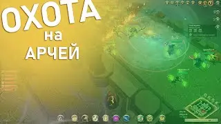 ЕНОТЫ на прогулке. PvP Albion online