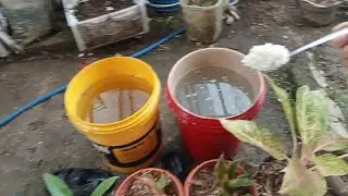 PART2 APLIKASI JAKABA MOL DAN PSB FOTOSINTETIS