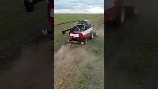 12 августа 2024 г.