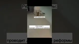 Либеральные реформы 